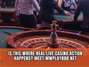 Mwplay88 Net