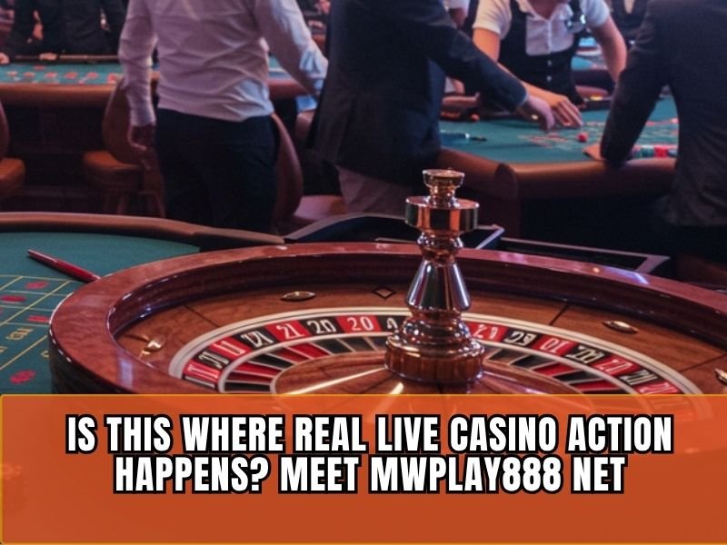 Mwplay88 Net